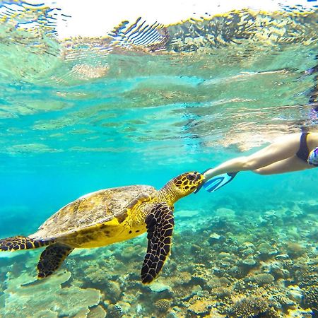 Equa Reef Maldives Hotel Addu City Eksteriør billede