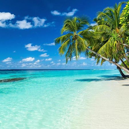 Equa Reef Maldives Hotel Addu City Eksteriør billede