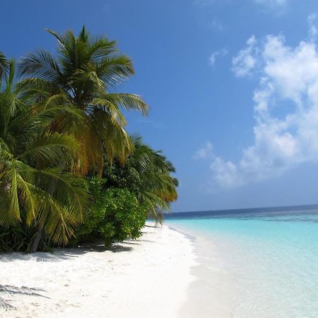 Equa Reef Maldives Hotel Addu City Eksteriør billede