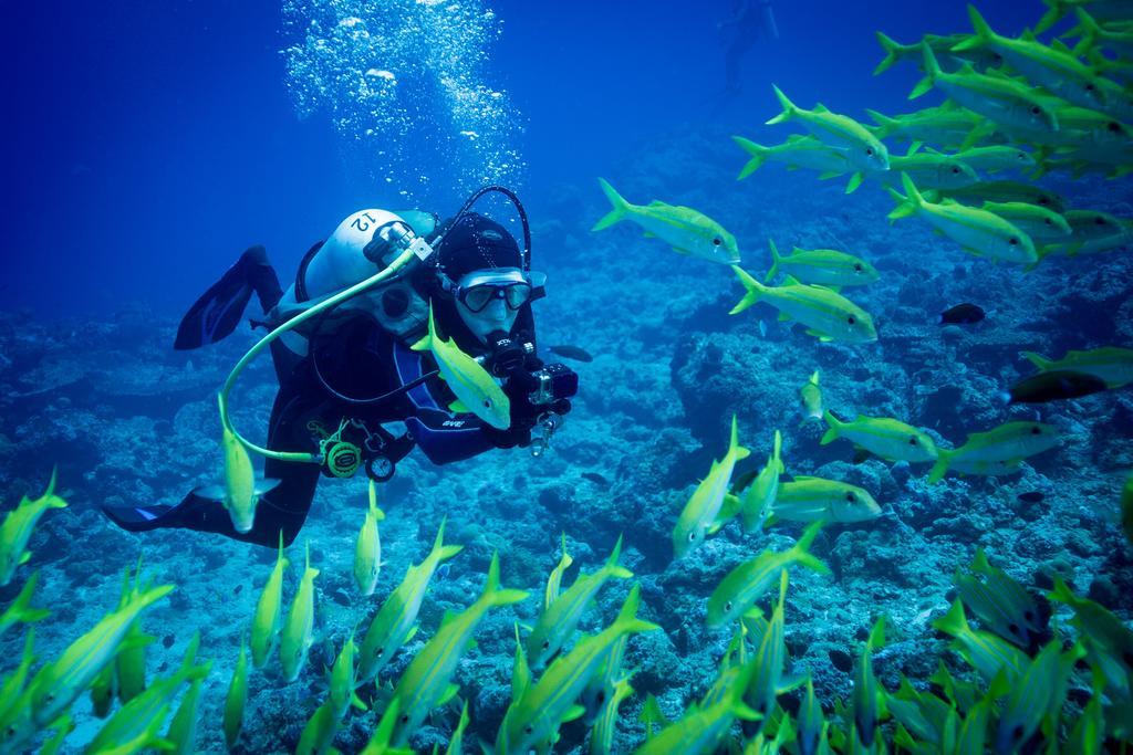 Equa Reef Maldives Hotel Addu City Eksteriør billede