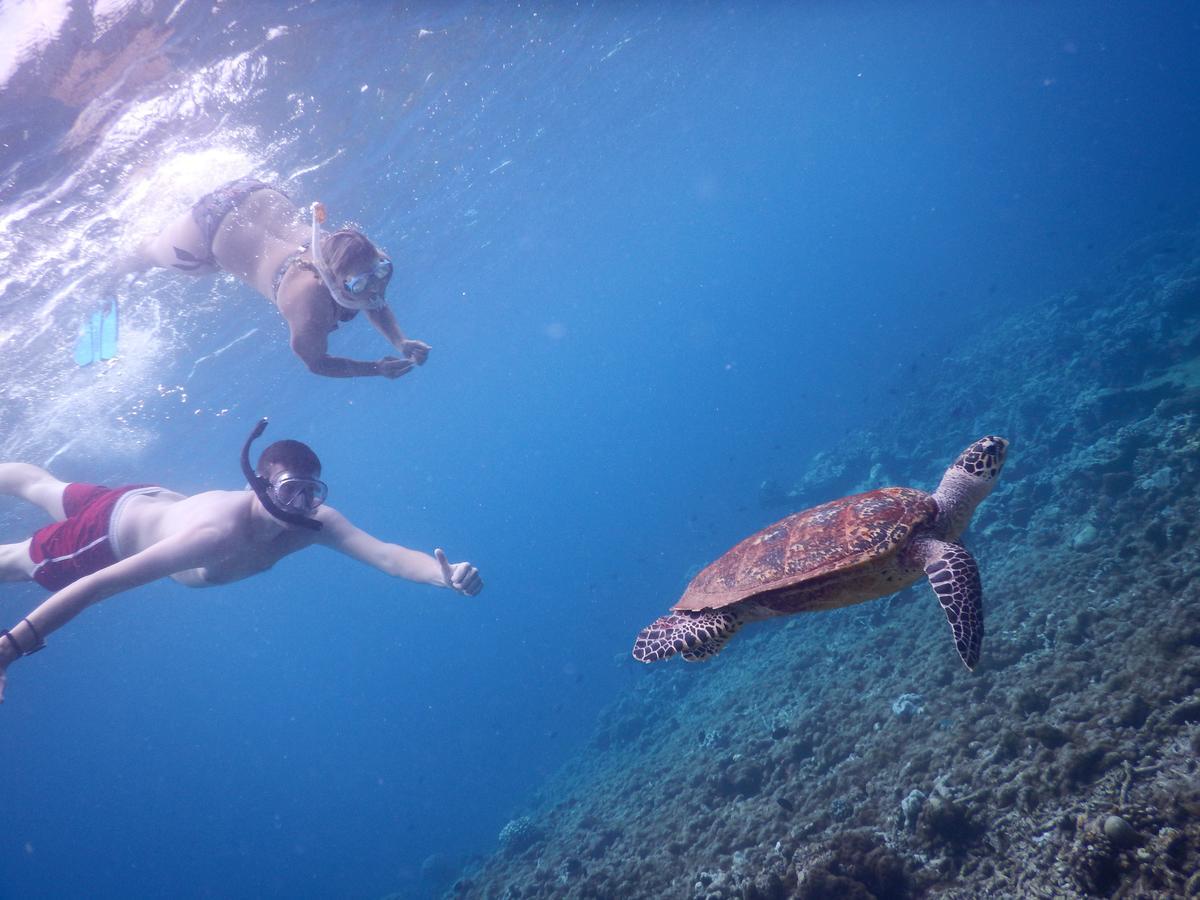 Equa Reef Maldives Hotel Addu City Eksteriør billede