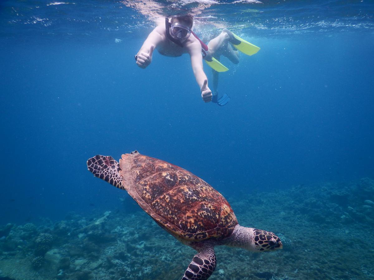 Equa Reef Maldives Hotel Addu City Eksteriør billede