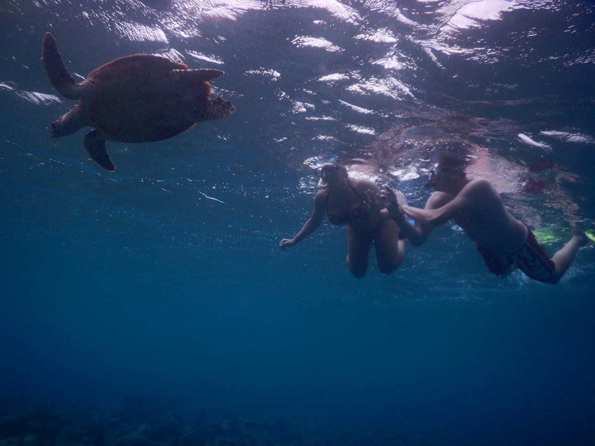 Equa Reef Maldives Hotel Addu City Eksteriør billede