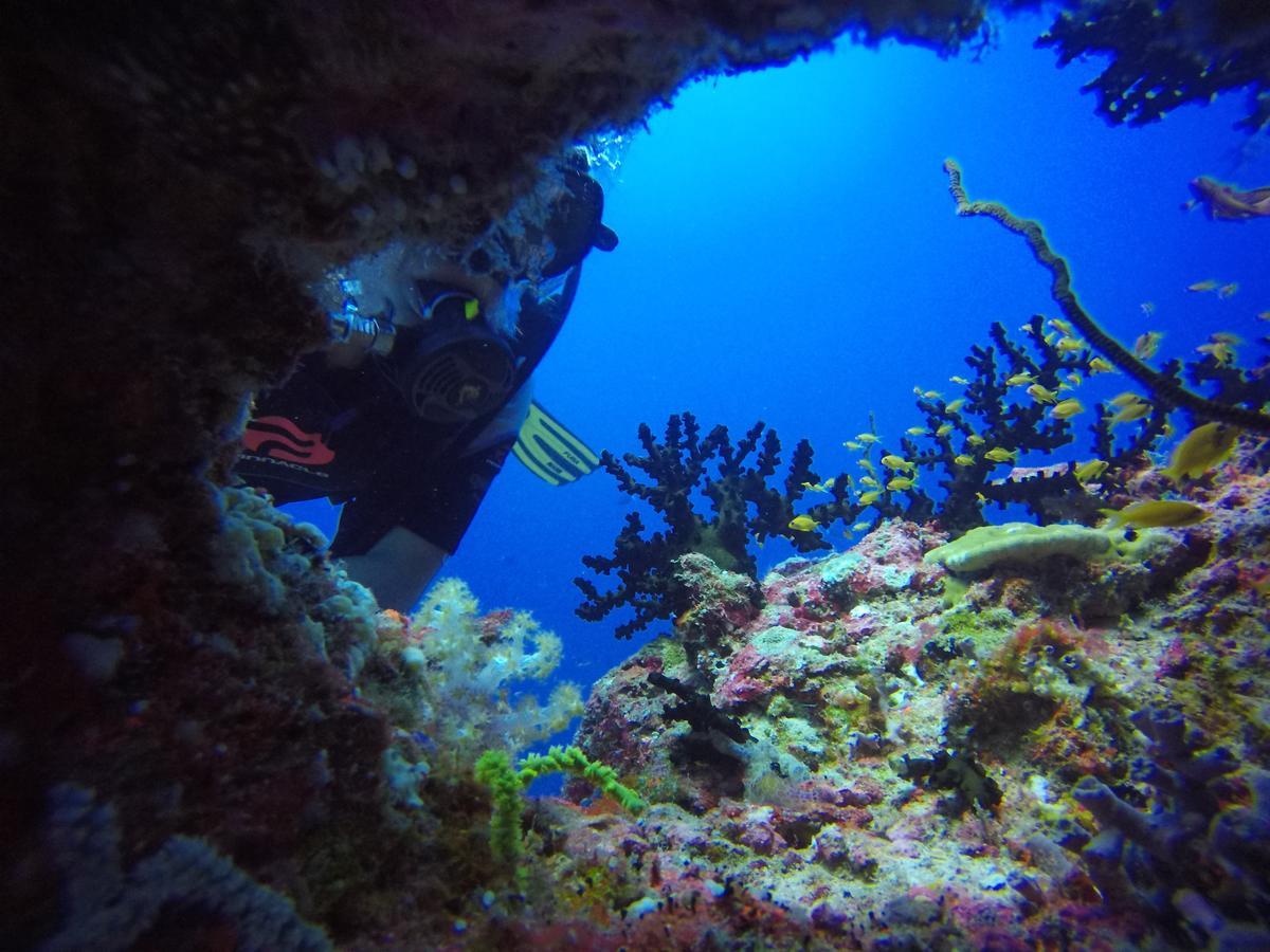 Equa Reef Maldives Hotel Addu City Eksteriør billede