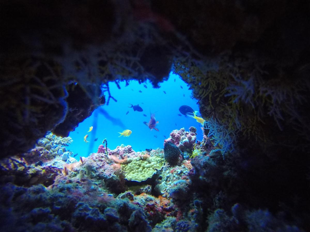 Equa Reef Maldives Hotel Addu City Eksteriør billede