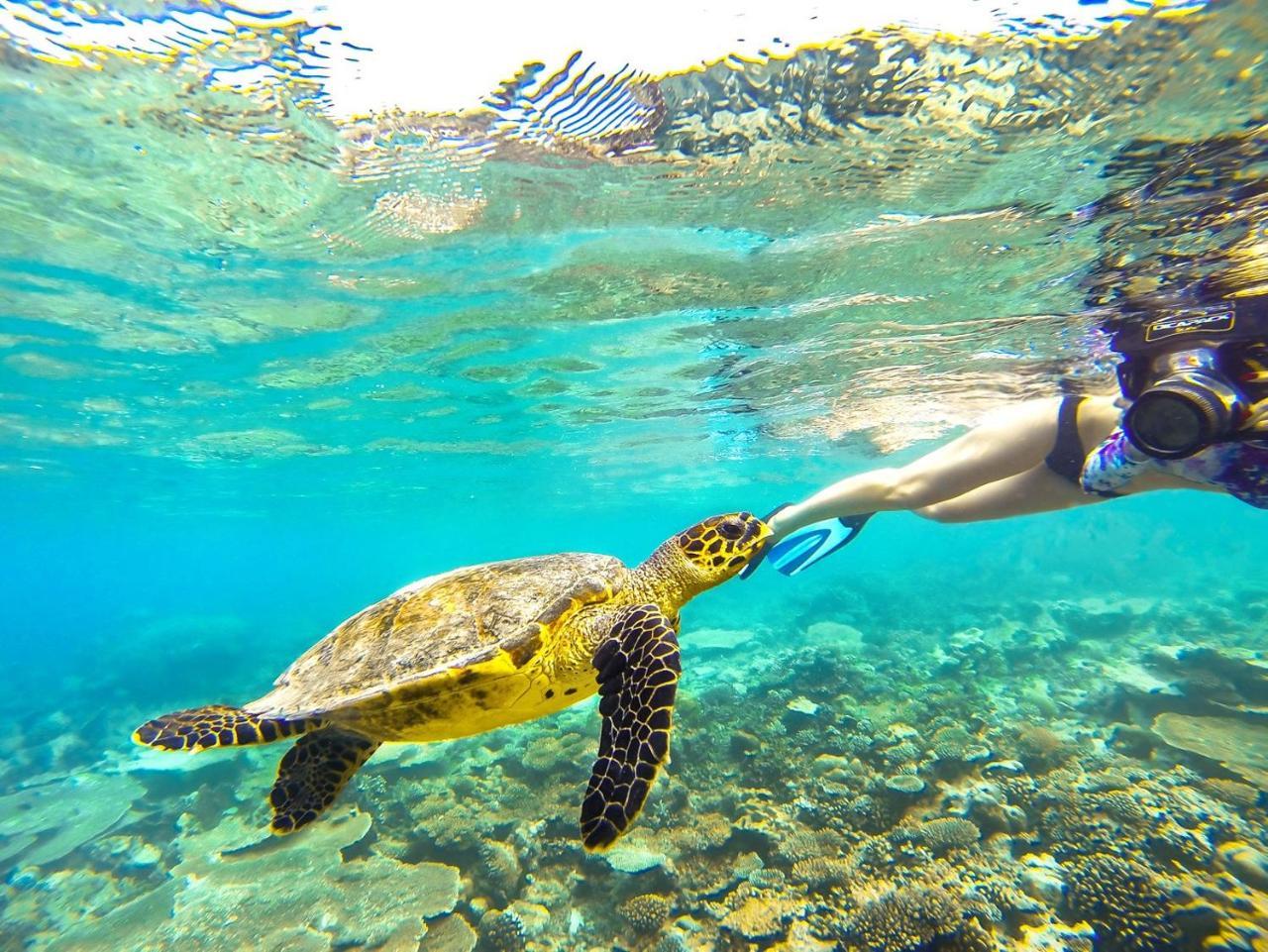 Equa Reef Maldives Hotel Addu City Eksteriør billede