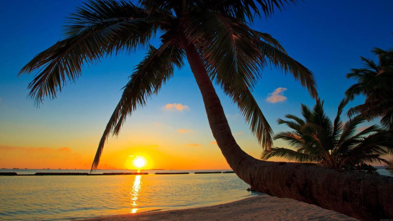 Equa Reef Maldives Hotel Addu City Eksteriør billede