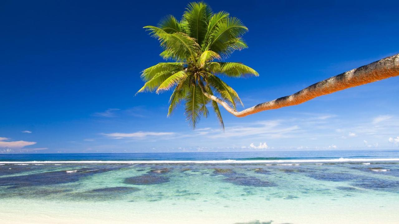 Equa Reef Maldives Hotel Addu City Eksteriør billede