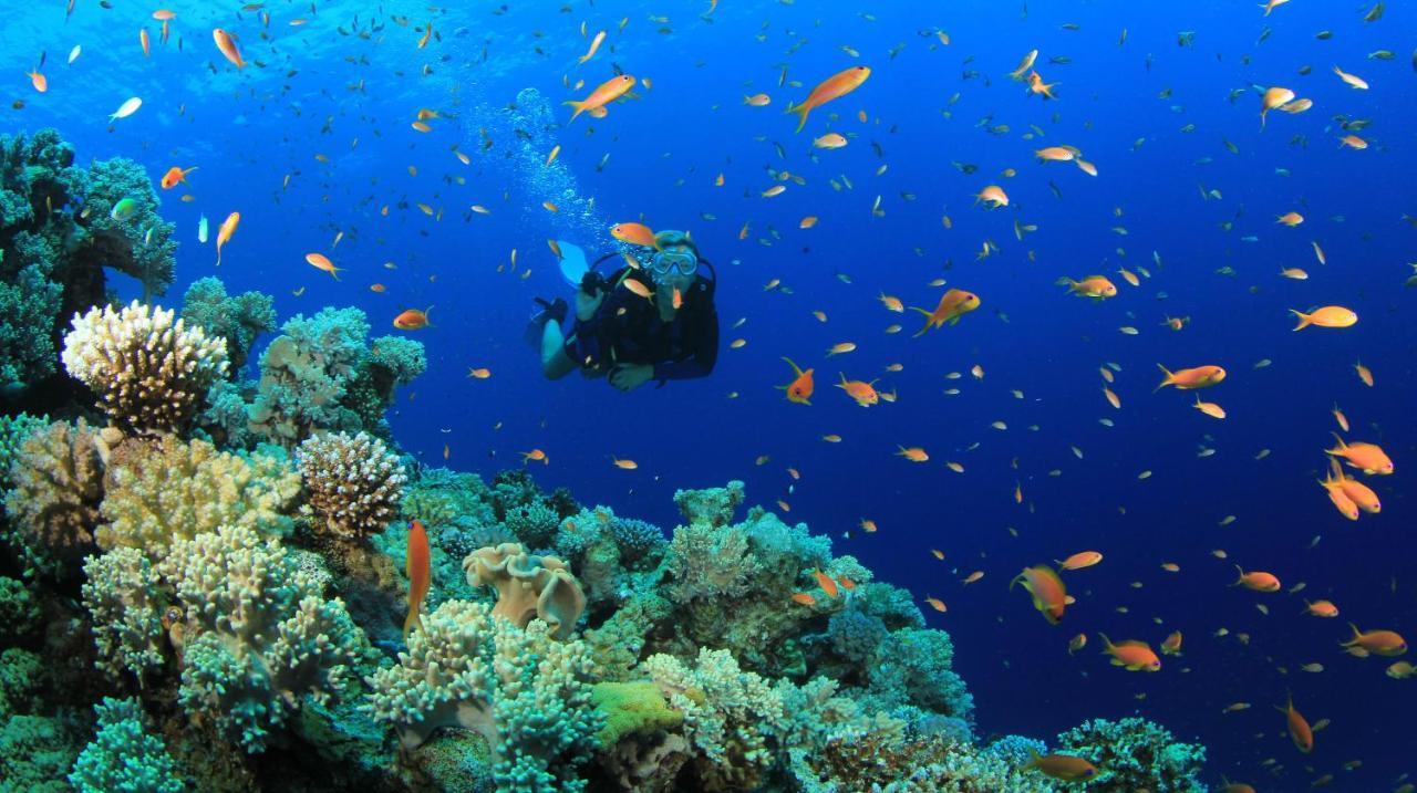 Equa Reef Maldives Hotel Addu City Eksteriør billede