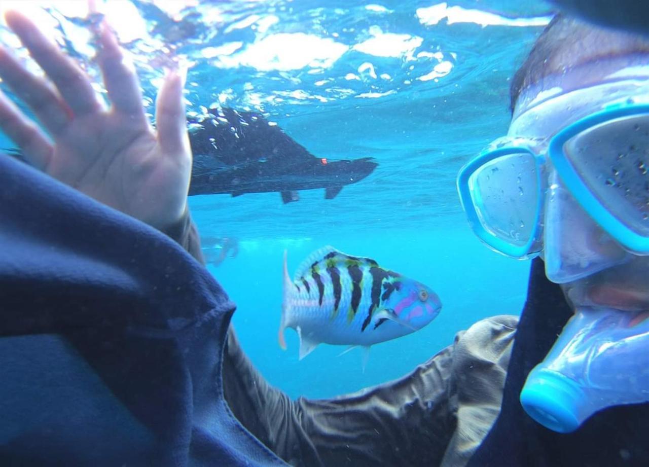 Equa Reef Maldives Hotel Addu City Eksteriør billede