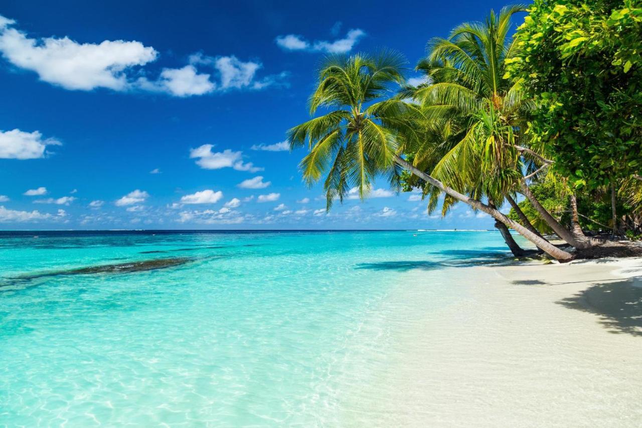 Equa Reef Maldives Hotel Addu City Eksteriør billede