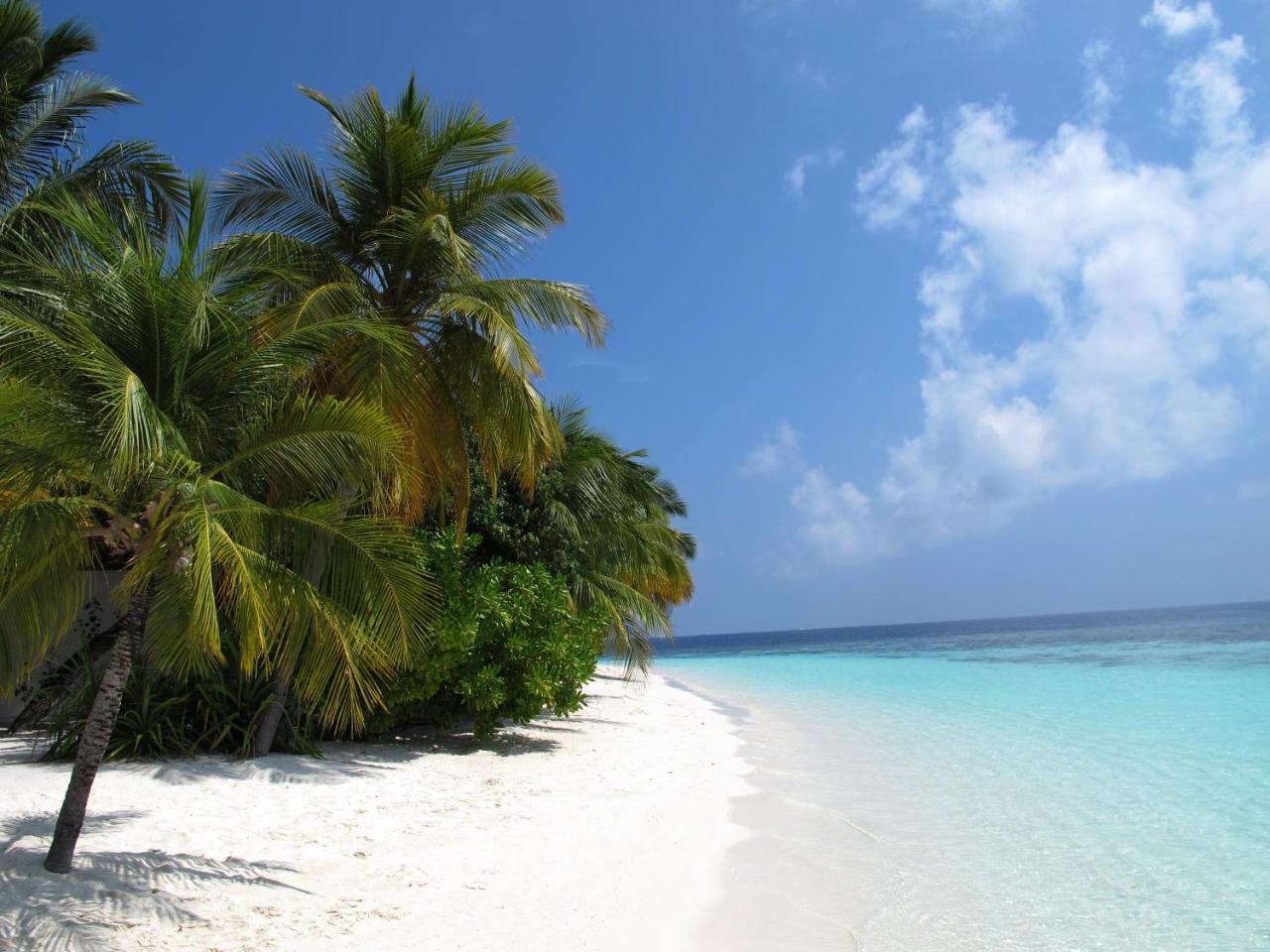 Equa Reef Maldives Hotel Addu City Eksteriør billede